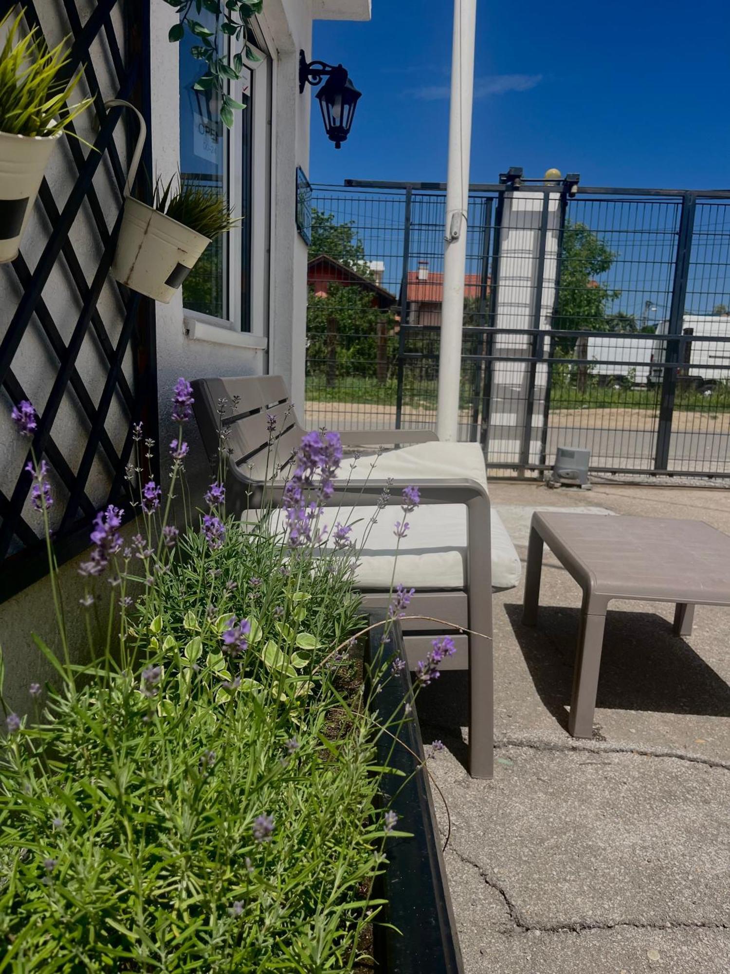Minicity Inn Belgrade Exterior photo